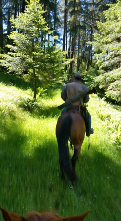 Doc-riding Farrier Service Douglas County Oregon
