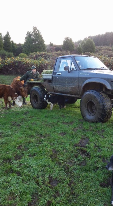 truck-doc Farrier Service Douglas County Oregon